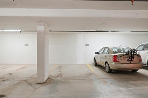 101-4250 Seton Drive Se, Calgary, AB - Indoor Photo Showing Garage