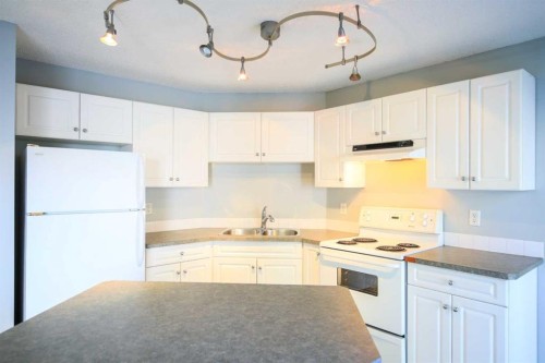 202-5202 Valleyview Park Se, Calgary, AB - Indoor Photo Showing Kitchen With Double Sink