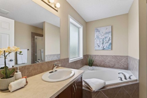 250 Silverado Plains Close Sw, Calgary, AB - Indoor Photo Showing Bathroom