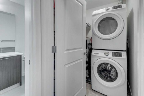 3101-175 Silverado Boulevard Sw, Calgary, AB - Indoor Photo Showing Laundry Room