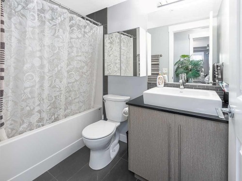 1203-11 Mahogany Row Se, Calgary, AB - Indoor Photo Showing Bathroom