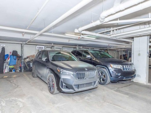 1203-11 Mahogany Row Se, Calgary, AB - Indoor Photo Showing Garage