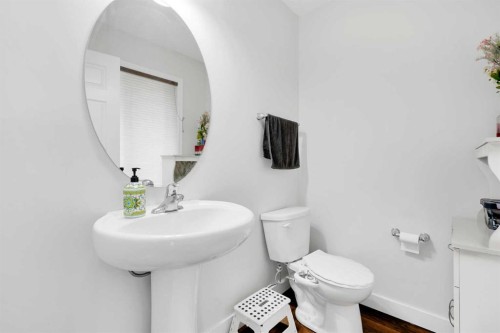 209 Windford Park Sw, Airdrie, AB - Indoor Photo Showing Bathroom