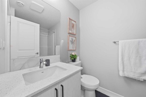 704 Creekstone Circle Sw, Calgary, AB - Indoor Photo Showing Bathroom