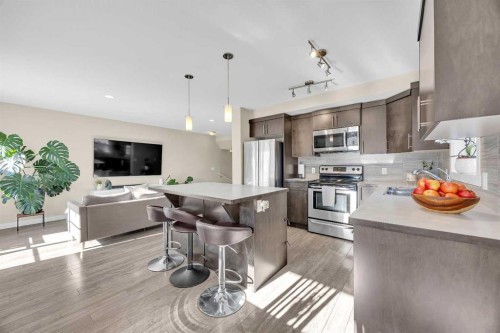 405 Redstone View Ne, Calgary, AB - Indoor Photo Showing Kitchen With Upgraded Kitchen