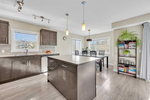 405 Redstone View Ne, Calgary, AB - Indoor Photo Showing Kitchen With Upgraded Kitchen