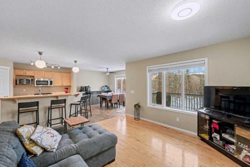 19 Copperfield Crescent Se, Calgary, AB - Indoor Photo Showing Living Room
