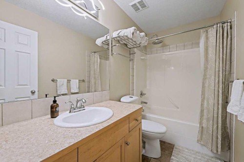 19 Copperfield Crescent Se, Calgary, AB - Indoor Photo Showing Bathroom