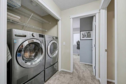 19 Copperfield Crescent Se, Calgary, AB - Indoor Photo Showing Laundry Room