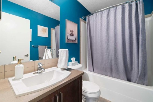 1815 Copperfield Boulevard Se, Calgary, AB - Indoor Photo Showing Bathroom