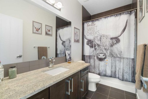 71 Muirfield Close, Lyalta, AB - Indoor Photo Showing Bathroom