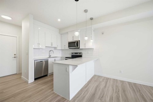 2406-15 Skyview Point Crescent Ne, Calgary, AB - Indoor Photo Showing Kitchen With Stainless Steel Kitchen With Upgraded Kitchen