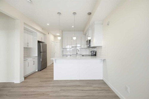 2406-15 Skyview Point Crescent Ne, Calgary, AB - Indoor Photo Showing Kitchen