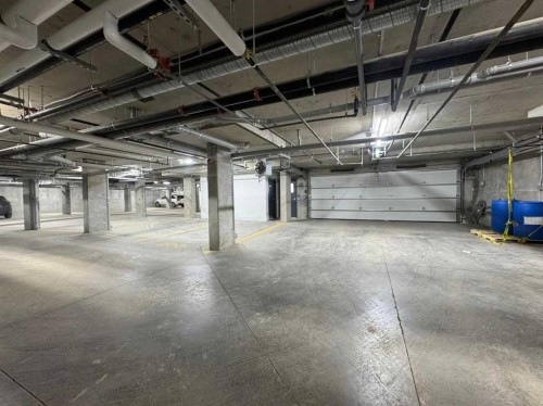 2406-15 Skyview Point Crescent Ne, Calgary, AB - Indoor Photo Showing Garage