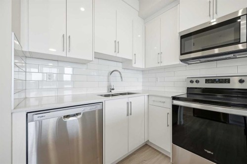 2406-15 Skyview Point Crescent Ne, Calgary, AB - Indoor Photo Showing Kitchen With Stainless Steel Kitchen With Double Sink With Upgraded Kitchen