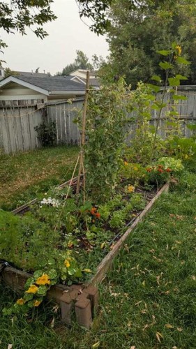 3011 32A Avenue Se, Calgary, AB - Outdoor