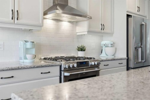 308 Viewpointe Terrace, Chestermere, AB - Indoor Photo Showing Kitchen With Stainless Steel Kitchen With Upgraded Kitchen