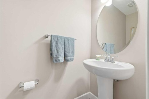 308 Viewpointe Terrace, Chestermere, AB - Indoor Photo Showing Bathroom
