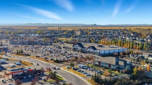 308 Viewpointe Terrace, Chestermere, AB - Outdoor With View