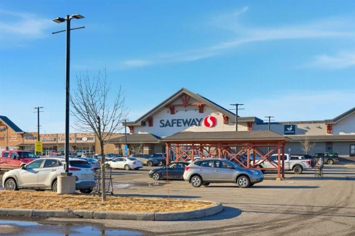 308 Viewpointe Terrace, Chestermere, AB - Outdoor