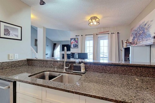 210 Mt Lorette Close Se, Calgary, AB - Indoor Photo Showing Kitchen With Double Sink