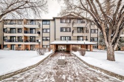 215-727 56 Avenue SW Calgary, AB T2V 4Z8