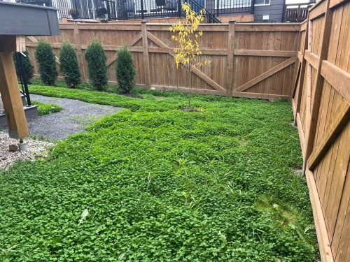 902 Bluerock Way Sw, Calgary, AB - Outdoor With Deck Patio Veranda