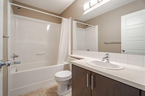 261 Pantego Lane Nw, Calgary, AB - Indoor Photo Showing Bathroom