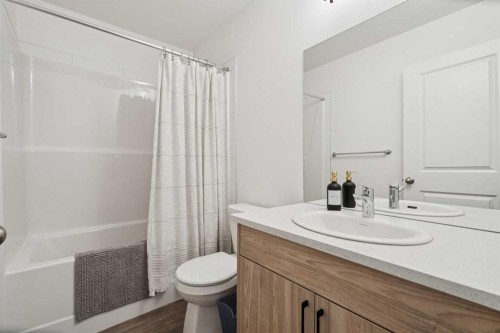101-24 Rivercrest Drive, Cochrane, AB - Indoor Photo Showing Bathroom