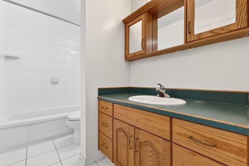 115 Abingdon Court Ne, Calgary, AB - Indoor Photo Showing Bathroom