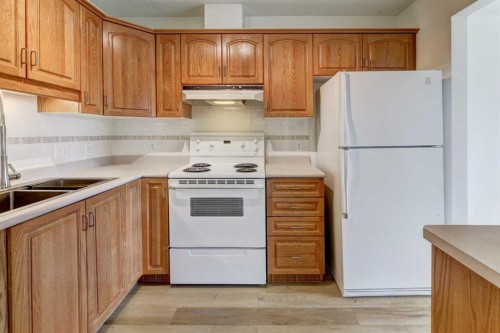 309-3309 Hawksbrow Point Nw, Calgary, AB - Indoor Photo Showing Kitchen With Double Sink