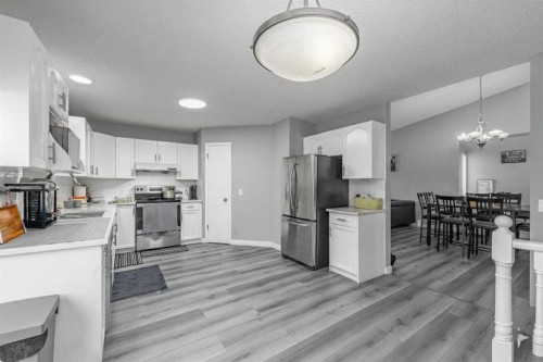 14 Coral Sands Place Ne, Calgary, AB - Indoor Photo Showing Kitchen
