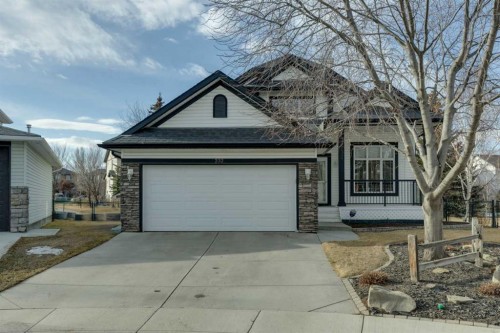 232 Springmere Place, Chestermere, AB - Outdoor