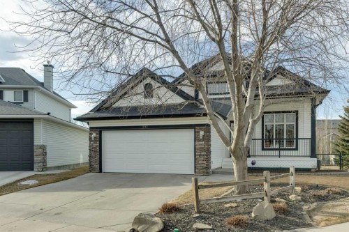 232 Springmere Place, Chestermere, AB - Outdoor