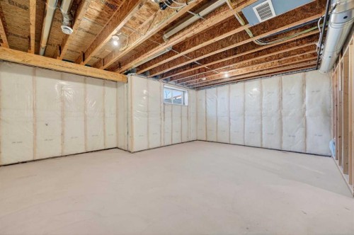 77 Belvedere Drive Se, Calgary, AB - Indoor Photo Showing Basement