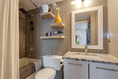 304-1904 10 Street Sw, Calgary, AB - Indoor Photo Showing Bathroom