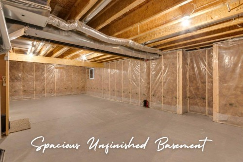 207 River Heights Crescent, Cochrane, AB - Indoor Photo Showing Basement