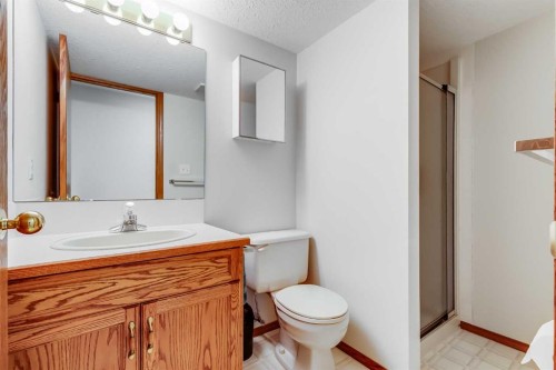 4118 Silverpark Estates Close, Olds, AB - Indoor Photo Showing Bathroom