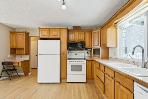 389 Capri Avenue Nw, Calgary, AB - Indoor Photo Showing Kitchen With Double Sink