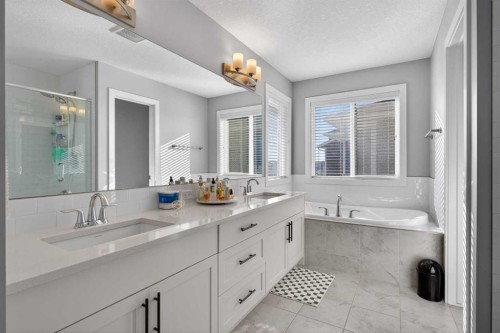 126 Bayview Circle Sw, Airdrie, AB - Indoor Photo Showing Bathroom