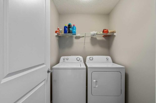 234 Carringsby Way Nw, Calgary, AB - Indoor Photo Showing Laundry Room