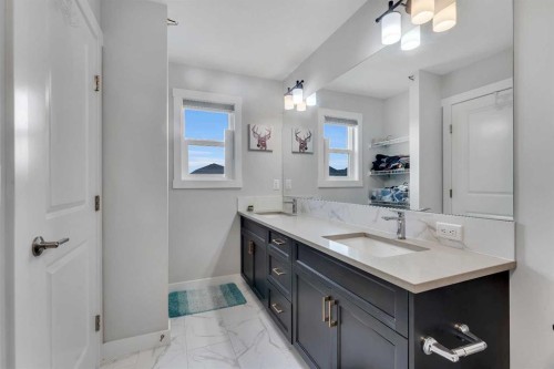 521 Chinook Winds Gardens Sw, Airdrie, AB - Indoor Photo Showing Bathroom