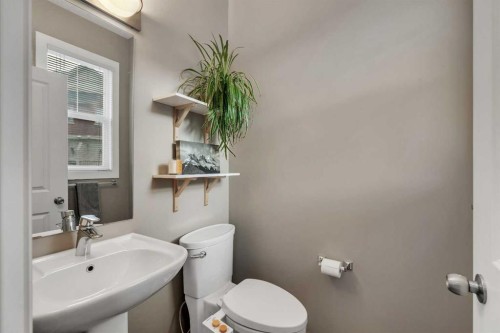 221 New Brighton Row Se, Calgary, AB - Indoor Photo Showing Bathroom