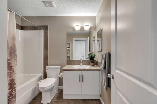 221 New Brighton Row Se, Calgary, AB - Indoor Photo Showing Bathroom