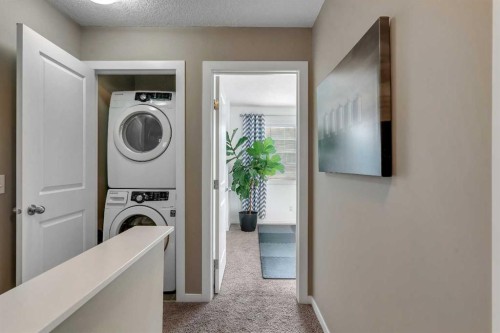 221 New Brighton Row Se, Calgary, AB - Indoor Photo Showing Laundry Room
