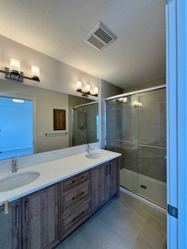 695 Buffaloberry Manor Se, Calgary, AB - Indoor Photo Showing Bathroom