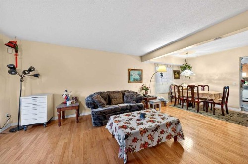 262 Martindale Boulevard Ne, Calgary, AB - Indoor Photo Showing Living Room