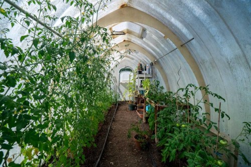 4214 50 Avenue, Olds, AB - Outdoor