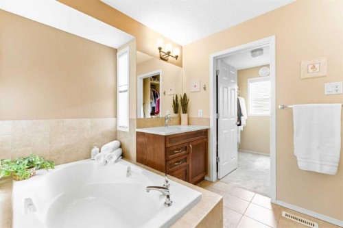 185 Auburn Glen Circle Se, Calgary, AB - Indoor Photo Showing Bathroom