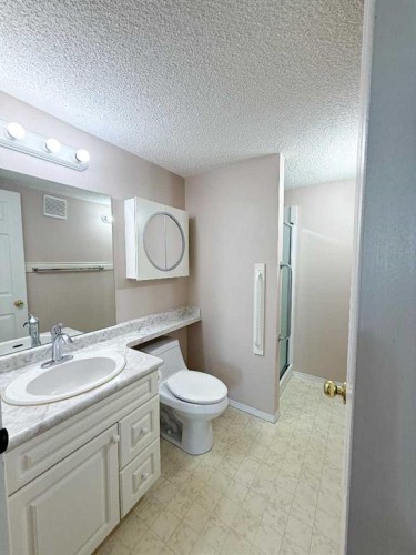 306-4514 54 Avenue, Olds, AB - Indoor Photo Showing Bathroom
